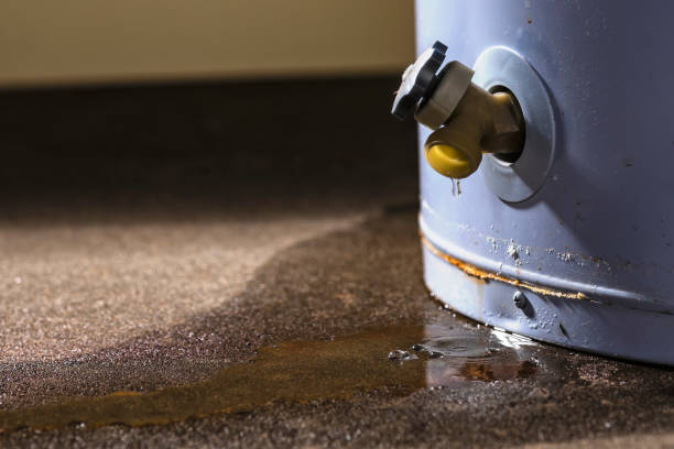 Best Residential water damage restoration  in Farmersville, TX
