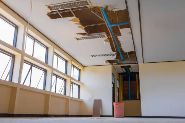Best Local water damage restoration  in Farmersville, TX