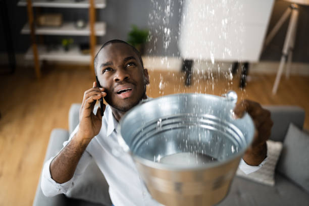 Water damage restoration mold remediation in Farmersville, TX