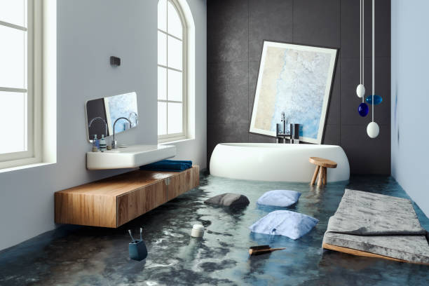 Best 24/7 water damage repair  in Farmersville, TX