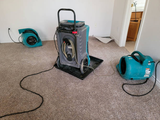 Best Water damage restoration services  in Farmersville, TX