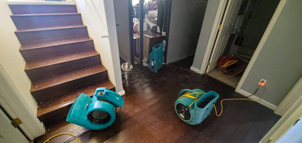 Best Residential water damage restoration  in Farmersville, TX