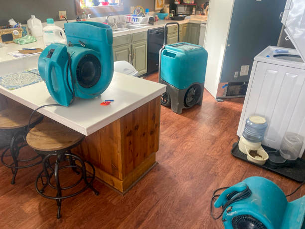 Best Ceiling water damage repair  in Farmersville, TX