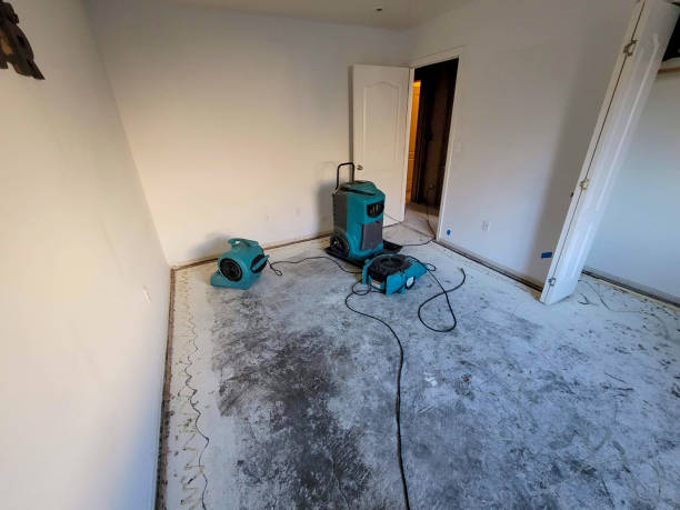 Best Commercial water damage restoration  in Farmersville, TX