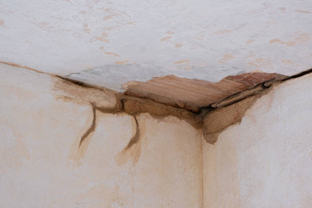 Best Fire Damage Restoration  in Farmersville, TX