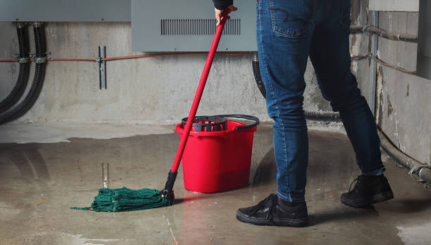 Best Ceiling water damage repair  in Farmersville, TX