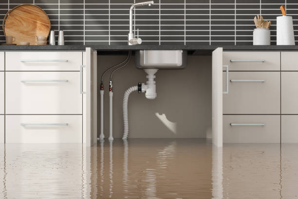 Best Flood damage cleanup  in Farmersville, TX