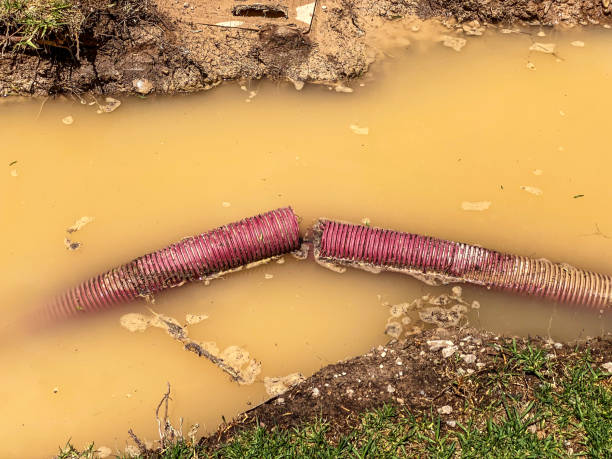 Best Professional water damage repair  in Farmersville, TX