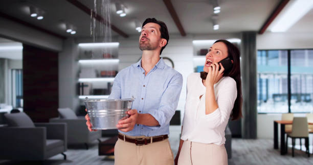 Best Carpet water damage restoration  in Farmersville, TX